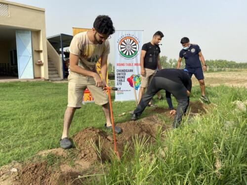 Tree Plantation Drive